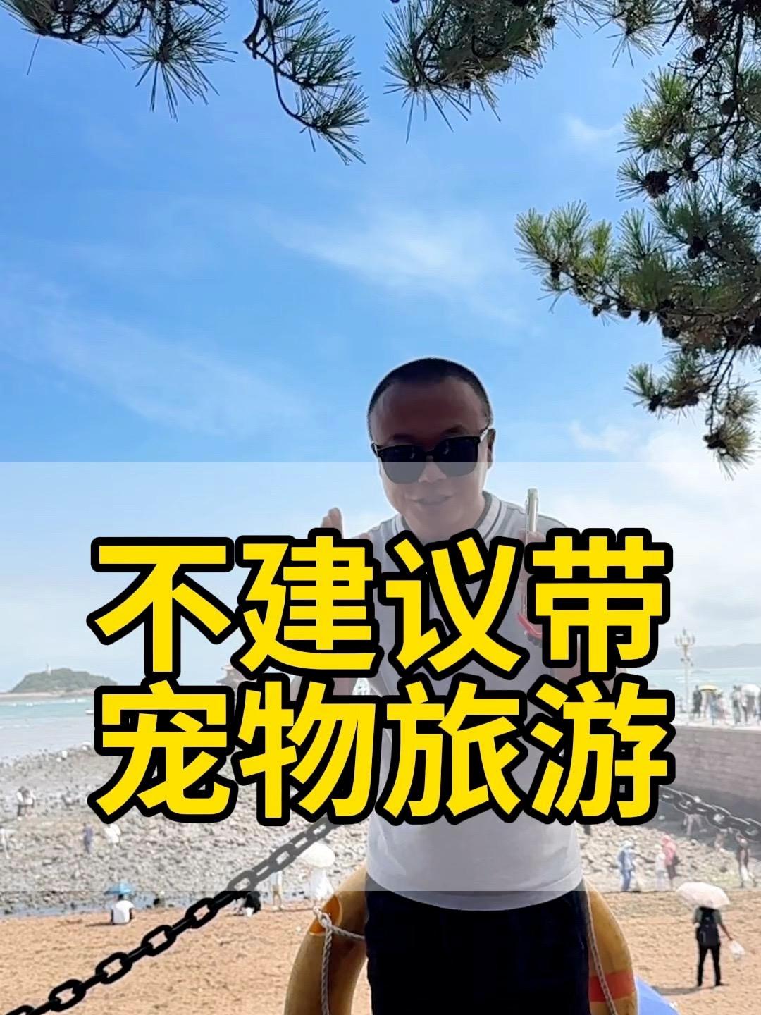 带宠物怎么出门 带宠物出去玩怎么住