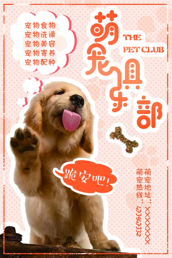 宠物店怎么宣传 宠物店怎么宣传文案