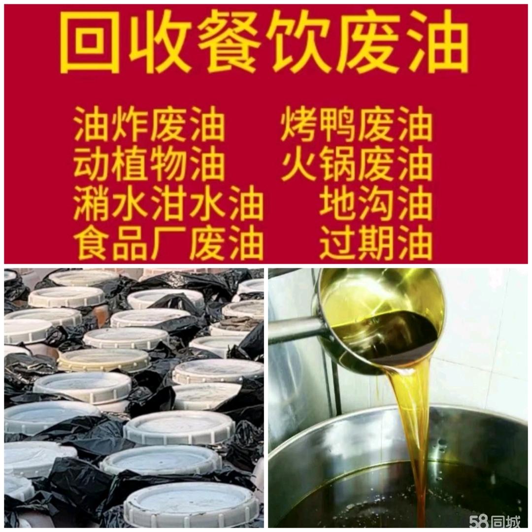 废机油回收价格表 废机油回收价格行情