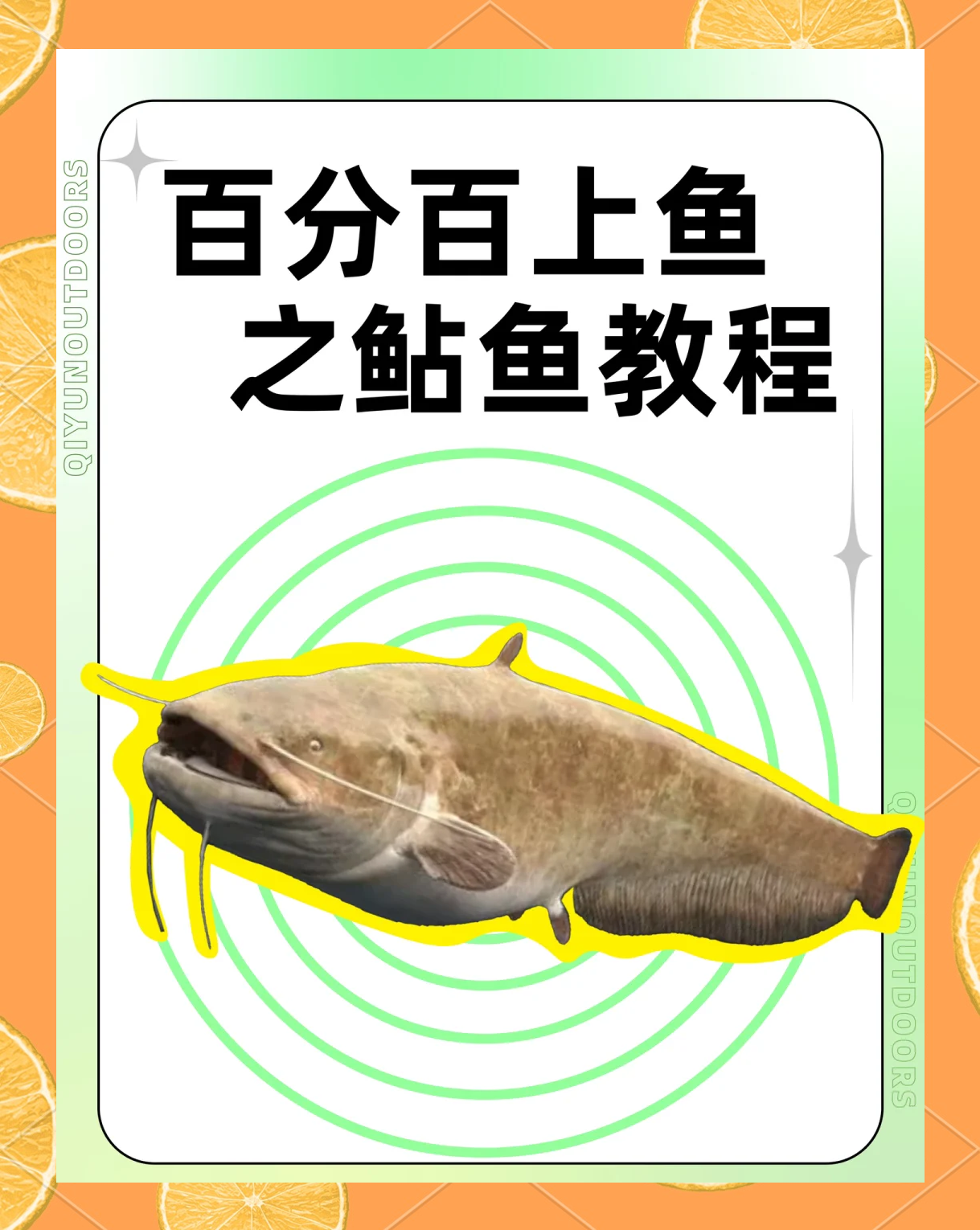 鲶鱼怎么处理干净 八爪鱼如何处理干净