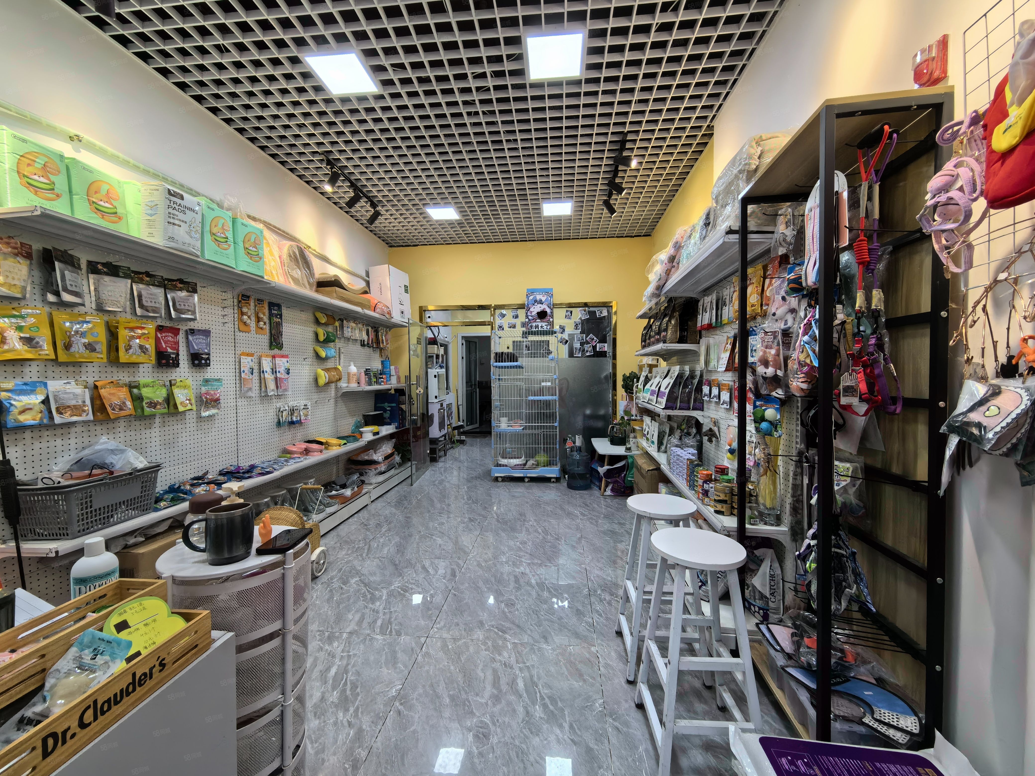 宠物店海淀 海淀宠物狗店