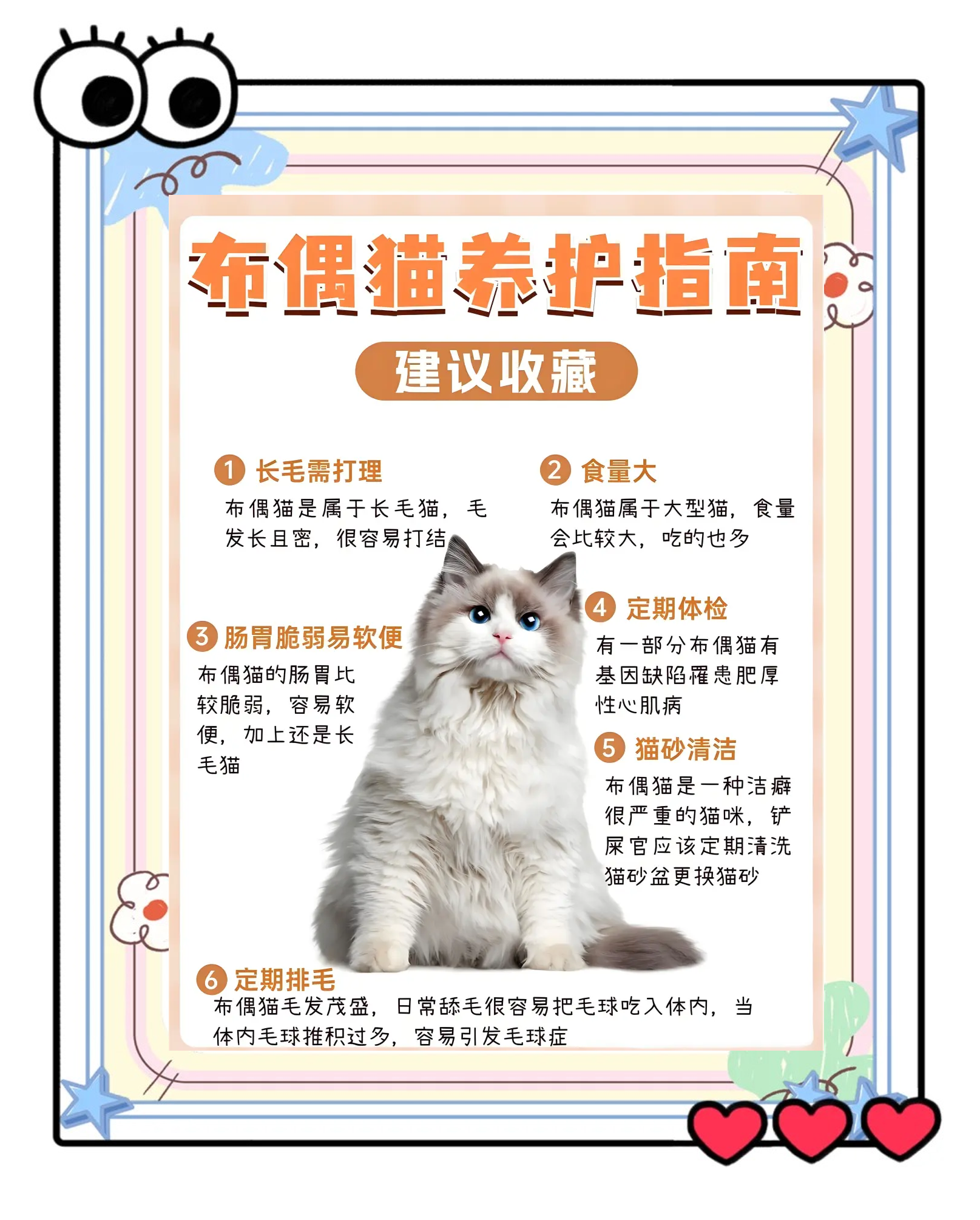 领养宠物的条件 领养宠物条件苛刻