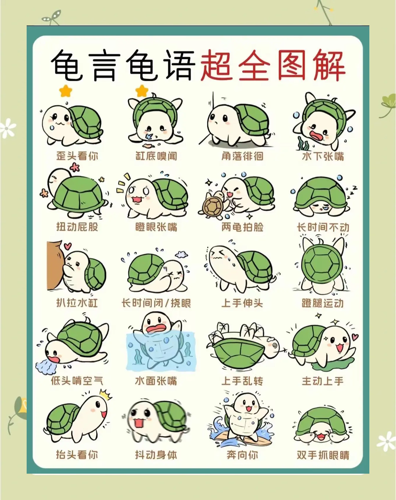 乌龟的叫声 乌龟的叫声mp3