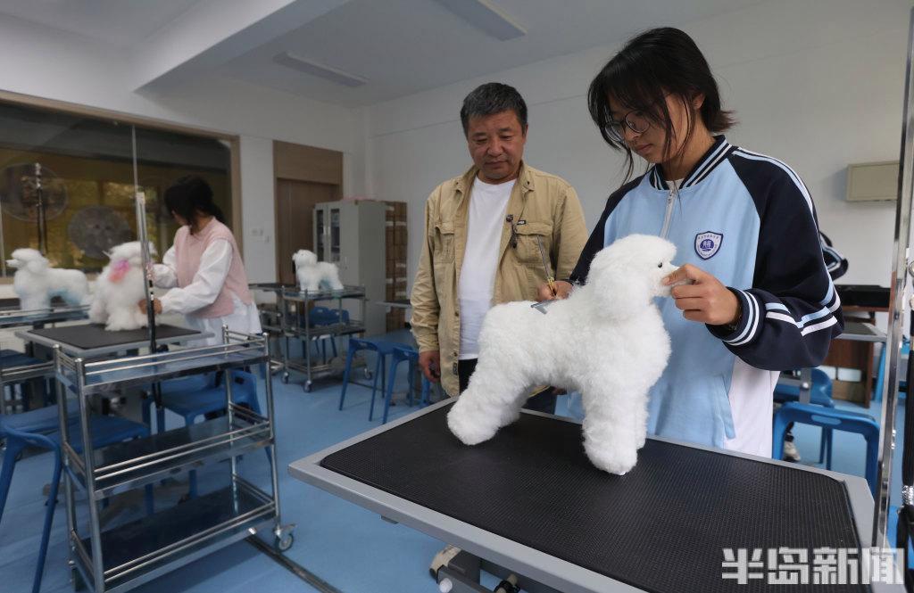 长沙宠物美容学校 长沙宠物美容师多少钱一个月